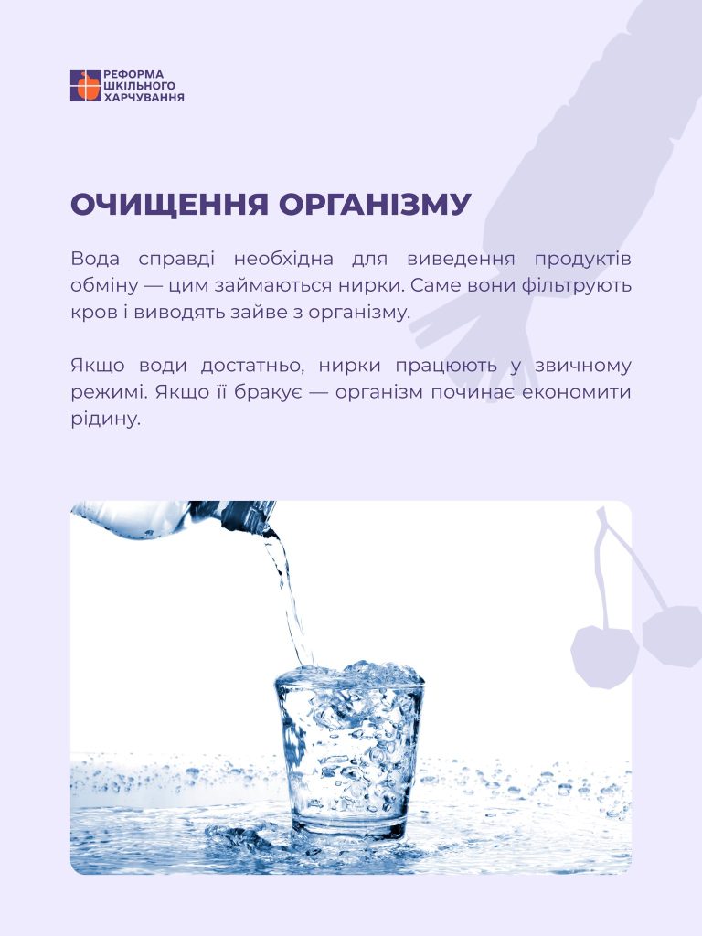 672407318 122285099420247919 7915365578764720020 N