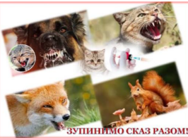Знімок екрана 2026 10 06 142720