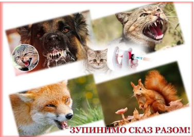 Знімок екрана 2026 10 06 142720